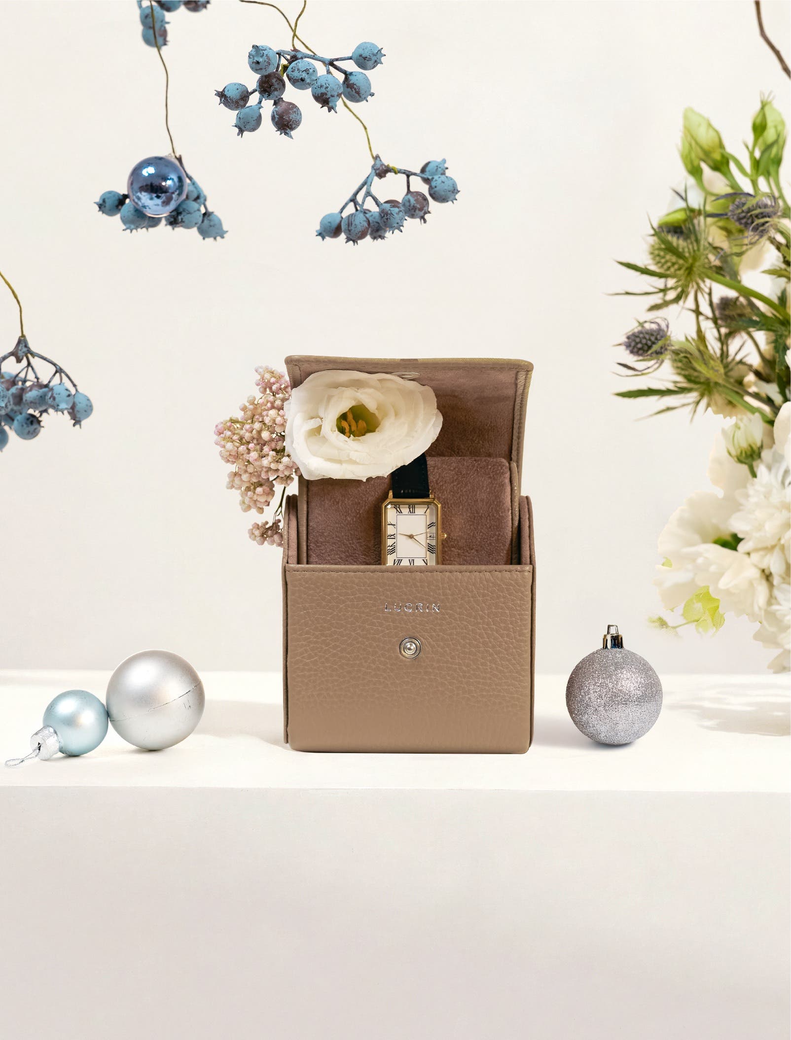 Watch & Jewelry Case Promo Image